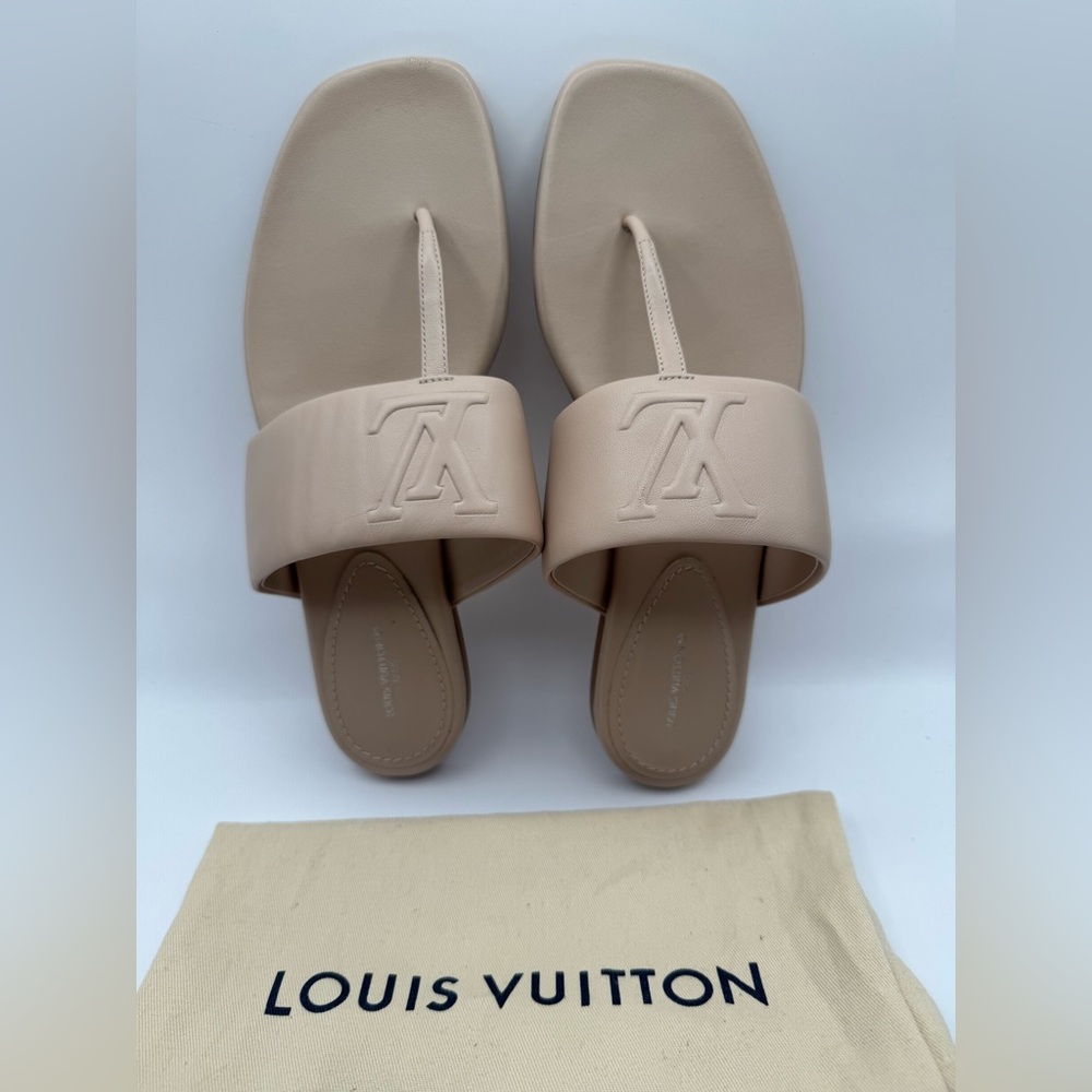Louis Vuitton leather slides.